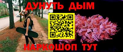 индика Беслан