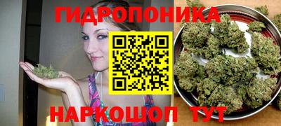 индика Беслан
