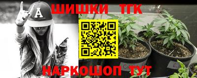 индика Беслан
